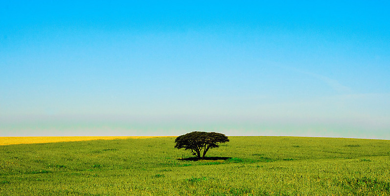 포토 JPG 해외이미지 나무 식물 구름 백그라운드 밭 농업 자연 하늘 파노라마 사람 풍경 사람없음 야외 초록색 여름 파란색 햇빛 환경 자유 시골 고독 땅 심플 조경 장면 넘어짐 수평선 해외202004 해외포토 자연요소 계절 감정 산업 컬러 컨셉 모션 촬영기법 태양 생태계 파일형식 이미지허브