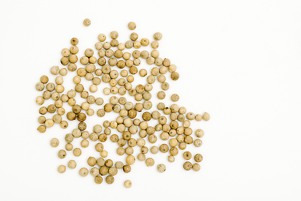 포토 JPG 해외이미지 음식 재료 건조 씨앗 사람없음 뜨거움 양념 맛 인도인 향신료 흰배경 날것 향기 향료 향 후추 채식주의자 해외202004 해외포토 외국인 식물 백그라운드 컨셉 동양인 흰색 채식 냄새 향미료 파일형식 이미지허브