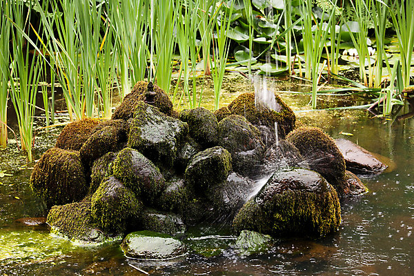 포토 JPG 해외이미지 식물 공원 꽃 아시아 자연 갈대 이끼 동양인 풍경 사람없음 야외 장식 초록색 평화 일본 맑음 침묵 벚꽃 바위 연못 명상 분수 원예 조경 분무기 내추럴 그리너리 해외202004 해외포토 공공시설 나라 컬러 컨셉 날씨 인종 취미 소리 돌_바위 생태계 파일형식 트랜드컬러 이미지허브
