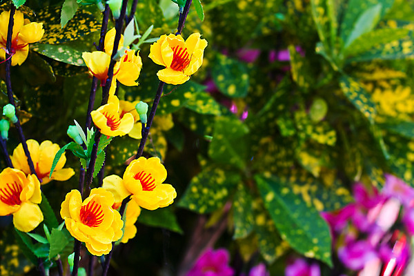 포토 JPG 해외이미지 식물 디자인 꽃 꽃다발 백그라운드 꽃무늬 창문 자연 유리 탁자 주택 실내 선물 사람없음 내부 장식 빨간색 초록색 빛 컬러풀 꽃병 활발 방 흰색 오픈 고급 대나무 심플 내추럴 거짓 인공 스타일 해외202004 해외포토 나무 컬러 가구 컨셉 무늬 재질 건물 생태계 파일형식 이미지허브