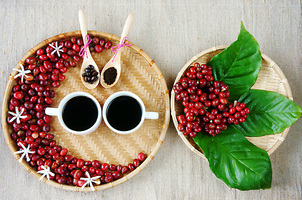 포토 JPG 해외이미지 모양 열매 꽃 아시아 커피 음료 백그라운드 컨셉 잎 농업 추상 콩 아이디어 미술 씨앗 사람없음 장식 컵 빨간색 초록색 갈색 바구니 검은색 화목 놀람 카페 흰색 신선 최고 그룹 굽기 수집 대나무 만족 유기농 날것 베트남 에스프레소 숙성 아라비카 카페인 해외202004 해외포토 나무 식물 식기 웰빙 감정 나라 산업 컬러 무늬 문화예술 곡류 표정 상점 동남아시아 구이 파일형식 이미지허브