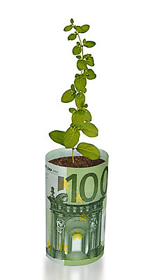 포토 JPG 해외이미지 식물 유럽 백그라운드 컨셉 잎 지폐 돈 비즈니스 자연 아이디어 사람없음 초록색 환경 쪽지 유로 성장 흰색 재산 보호 냄비 생태계 투자 계산서 개발 고립 돌봄 생태학 심기 유럽연합 처음 해외202004 해외포토 교육 나라 컬러 모션 금융 솥 파일형식 이미지허브