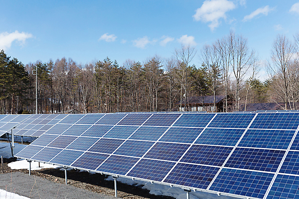 포토 JPG 해외이미지 주간 나무 구름 하늘 풍경 사람없음 야외 태양에너지 집열판 해외202004 해외포토 자연요소 식물 그린에너지 파일형식 이미지허브