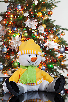 포토 JPG 해외이미지 1 전통 얼굴 어린이 백그라운드 크리스마스 장난 놀이 휴가 새로움 바닥 털 선물 이벤트 사람없음 반려동물 세트 장난감 침묵 유치원 수확 흰색 축하 아기 달콤 강아지 작음 큼 플라스틱 모피 연도 오브젝트 부드러움 솜털 고무 고립 해외202004 해외포토 동물 교육 기념일 컬러 컨셉 농업 재질 사람 신체부위 소리 감각 개 맛 크기 파일형식 이미지허브