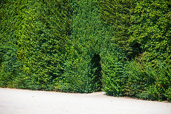 포토 JPG 해외이미지 나무 식물 계절 공원 길 여행 잎 건축양식 자연 사랑 풍경 사람없음 초록색 여름 정원 침묵 산책 나뭇가지 복도 터널 아치 내추럴 방법 해외202004 해외포토 공공시설 건축 감정 컬러 휴식 소리 생태계 파일형식 이미지허브