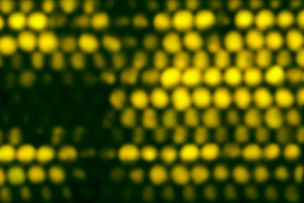 포토 JPG 해외이미지 디자인 백그라운드 잎 크리스마스 패턴 전구 자연 유리 벽지 추상 휴가 조명 미술 사람없음 빛 컬러풀 노란색 유행 우주 축제 봄 원형 질감 디스코 보케 에메랄드 부드러움 육각형 내추럴 고립 광 블러 효과 해외202004 해외포토 도형 식물 계절 기념일 음악 컬러 무늬 재질 문화예술 춤 감각 보석 생태계 파일형식 이미지허브