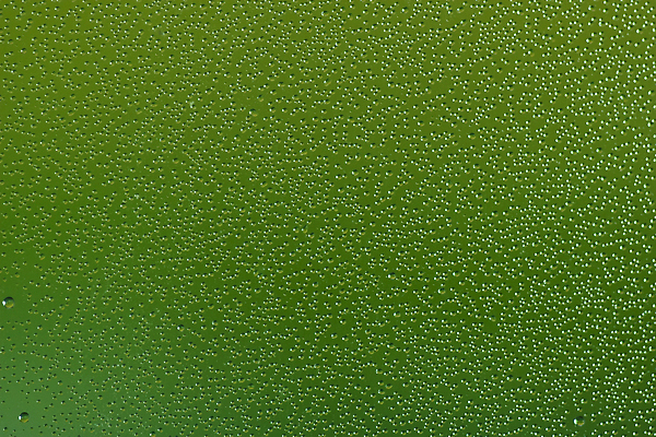 포토 JPG 해외이미지 디자인 음료 백그라운드 유리 벽지 추상 사람없음 그래픽 초록색 물 빛 노란색 거품 젖음 물방울 신선 원형 떨어짐 시원함 질감 공상 내추럴 해외202004 해외포토 자연요소 도형 컬러 컨셉 무늬 재질 파일형식 이미지허브