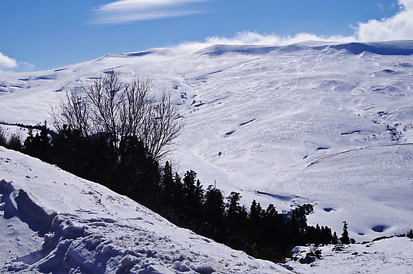 포토 JPG 해외이미지 나무 구름 여행 백그라운드 겨울 자연 하늘 산 파노라마 풍경 사람없음 파란색 햇빛 골짜기 냉동 얼음 침묵 추위 바위 흰색 정상 숲 땅 돌산 고도 언덕 산등성이 러시아 알프스 지역 암초 슬로프 내추럴 절정 해외202004 해외포토 자연요소 식물 계절 유럽 컬러 스키장 촬영기법 태양 소리 돌_바위 생태계 파일형식 이미지허브