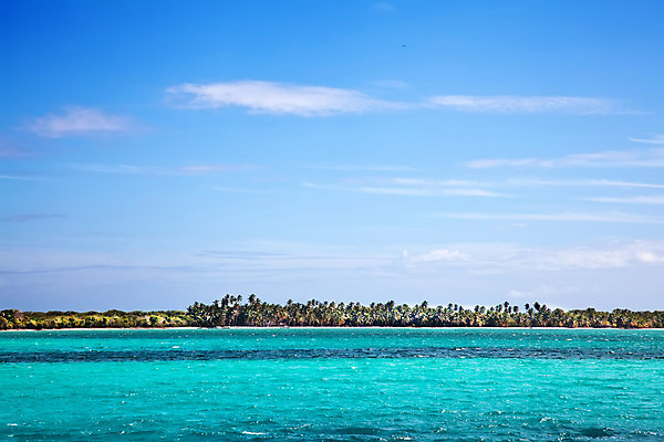 포토 JPG 해외이미지 나무 구름 실루엣 모래 파도 바다 섬 여행 백그라운드 자연 하늘 휴가 휴식 손바닥 풍경 사람없음 야외 가로 물 여름 파란색 햇빛 침묵 만 장면 터키석 수평선 해외202004 해외포토 자연요소 식물 손 계절 컬러 컨셉 촬영기법 태양 소리 보석 생태계 파일형식 이미지허브