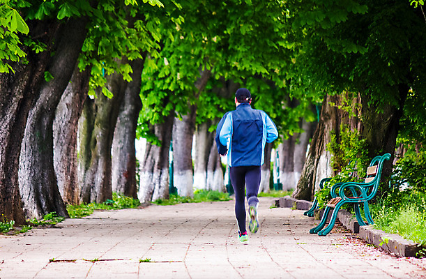 포토 JPG 해외이미지 나무 식물 공원 스포츠 여행 잎 벤치 모션 자연 아침 건강 풍경 사람없음 야외 목재 여름 달리기 환경 신선 탈출 즐거움 속도 만족 바둑 재촉 진행 몽환 해외202004 해외포토 주간 계절 공공시설 감정 컨셉 의자 재료 놀이 생태계 파일형식 이미지허브