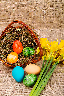 포토 JPG 해외이미지 식물 전통 디자인 계절 꽃 행복 리본 종교 음식 백그라운드 오렌지 자연 휴가 부활절 선물 사람없음 장식 초록색 파란색 컬러풀 노란색 바구니 계란 축제 치킨 페인트 봄 벚꽃 흰색 축하 냄비 4월 배열 심볼 오브젝트 활 냅킨 수선화 고립 해외202004 해외포토 기념일 감정 컬러 컨셉 과일 알 날짜 솥 생태계 닭고기요리 파일형식 이미지허브