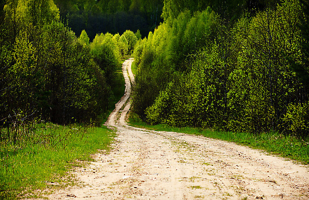 포토 JPG 해외이미지 계절 도로 길 백그라운드 오렌지 자연 날씨 풍경 잔디 사람없음 초록색 여름 햇빛 태양 농장 노란색 일출 맑음 일몰 흙 봄 흰색 시골 신선 떨어짐 숲 땅 언덕 넘어짐 땅바닥 방법 수평선 해외202004 해외포토 자연요소 식물 컬러 컨셉 농업 과일 교통시설 모션 바닥 노을 생태계 파일형식 이미지허브