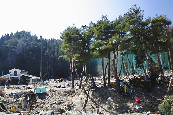 포토 JPG 해외이미지 자연 사람없음 힘 손상 슬픔 뉴스 떨어짐 깨짐 쓰나미 재앙 지진 해외202004 해외포토 감정 컨셉 자연재해 생태계 해일 파일형식 이미지허브