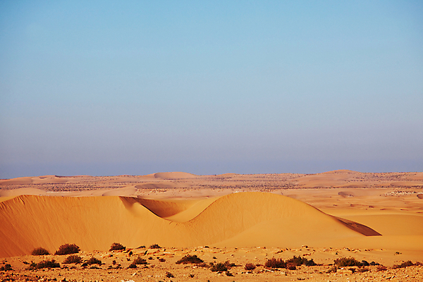 포토 JPG 해외이미지 모래 여행 오렌지 자연 하늘 건조 따뜻함 그림자 풍경 사람없음 야외 여름 파란색 글로벌 맑음 흙 사막 죽음 뜨거움 황무지 균열 저녁 인쇄 땅 몽골 모래언덕 언덕 가뭄 내추럴 감탄 특별함 해외202004 해외포토 계절 아시아 컬러 컨셉 과일 모션 날씨 야간 생태계 파일형식 이미지허브