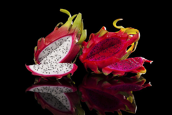 포토 JPG 해외이미지 음식 분홍색 백그라운드 2 과일 자연 검은배경 선인장 건강 요리 동양인 사람없음 가로 컬러풀 활발 용 신선 달콤 맛 열대과일 유기농 날것 내추럴 고립 숙성 이국적 채식주의자 특별함 해외202004 해외포토 식물 웰빙 컬러 컨셉 인종 검은색 생태계 채식 파일형식 이미지허브