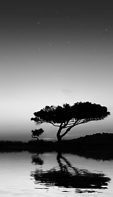 포토 JPG 해외이미지 나무 실루엣 별 호수 여행 벤치 일러스트 자연 하늘 휴가 사람없음 물 반짝임 반사 평화 우주 일출 침묵 고요 일몰 나뭇가지 분위기 고독 신비 지중해 신화 몰타섬 옛날 특별함 해외202004 해외포토 자연요소 식물 감정 바다 섬 컨셉 의자 모션 촬영기법 노을 소리 생태계 몰타 파일형식 이미지허브