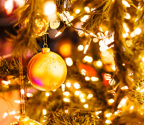 포토 JPG 해외이미지 나무 전통 계절 문화 백그라운드 크리스마스 겨울 공 유리 휴가 새로움 사람없음 장식 초록색 빛 활발 흰색 나뭇가지 축하 소나무 황금 12월 연도 상록수 전나무 여의주 해외202004 해외포토 식물 기념일 컬러 컨셉 재질 날짜 파일형식 이미지허브