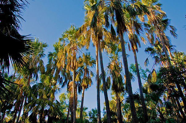 포토 JPG 해외이미지 모래 여행 자연 풍경 사람없음 물 호주 영토 북쪽 오지 파라다이스 해외202004 해외포토 자연요소 오세아니아 방향 생태계 파일형식 이미지허브