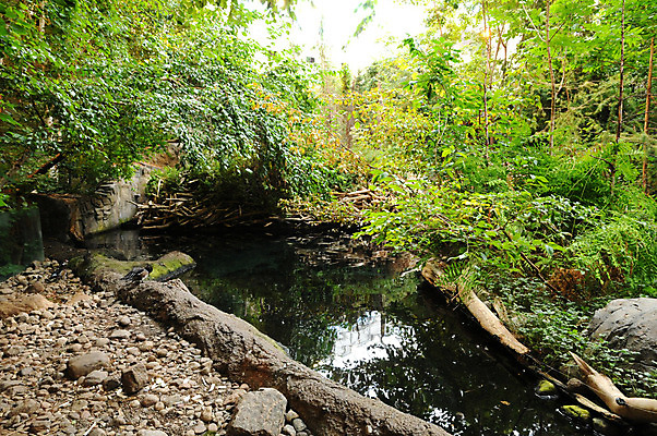 포토 JPG 해외이미지 동물 캐나다 건축양식 자연 실내 동물원 사람없음 내부 관광지 몬트리올 해외202004 해외포토 건축 여행 북아메리카 생태계 파일형식 이미지허브