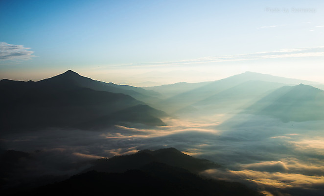 포토 JPG 해외이미지 나무 계절 여행 백그라운드 자연 아침 풍경 사람없음 초록색 여름 빛 햇빛 태양 일출 환경 일몰 새벽 안개 숲 내추럴 해외202004 해외포토 주간 자연요소 식물 컬러 날씨 노을 생태계 파일형식 이미지허브