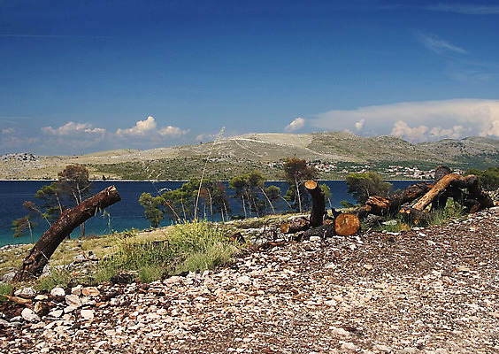 포토 JPG 해외이미지 꽃 문화 파도 바다 창문 산 풍경 사람없음 초록색 물 파란색 마을 만 크로아티아 천연기념물 구시가지 추모 해외202004 해외포토 자연요소 식물 유럽 컬러 파일형식 이미지허브