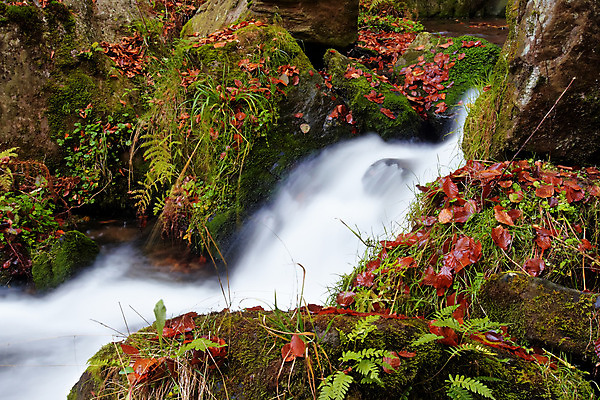 포토 JPG 해외이미지 이동 모션 자연 풍경 사람없음 야외 물 강 폭포 흐름 가을 개울 황무지 체코 내추럴 해외202004 해외포토 자연요소 계절 유럽 컨셉 생태계 파일형식 이미지허브