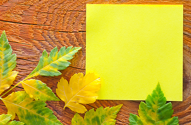포토 JPG 해외이미지 백그라운드 나뭇잎 사람없음 하이앵글 노란색 사각형 포스트잇 색종이 나무탁자 카피스페이스 해외202004 해외포토 도형 종이 뷰포인트 컬러 잎 탁자 공백 메모지 파일형식 이미지허브