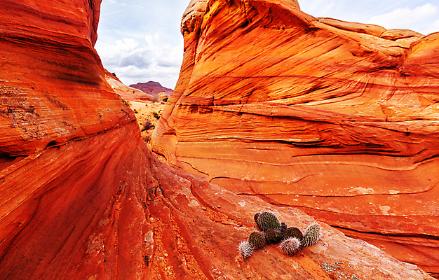포토 JPG 해외이미지 모래 여행 배낭 휴식 산 건강 풍경 사람없음 빨간색 운동 골짜기 미국 트래킹 절벽 하이킹 사막 탐험 바위 충돌 배낭여행 사암 애리조나 멀리 탐사 특별함 해외202004 해외포토 컬러 컨셉 북아메리카 가방 자연 레저 돌_바위 파일형식 이미지허브