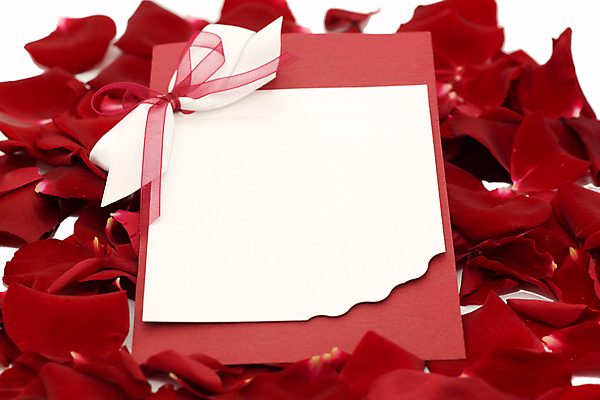 포토 JPG 해외이미지 꽃잎 꽃 종이 결혼 백그라운드 잎 자연 휴가 발렌타인데이 3 선물 사랑 사람없음 빨간색 컬러풀 장미 쪽지 공백 흰색 신선 신용카드 생일 메시지 기회 엽서 아로마 내추럴 고립 칭찬 해외202004 해외포토 식물 기념일 감정 컬러 데이이벤트 이벤트 금융 편지 생태계 파일형식 이미지허브