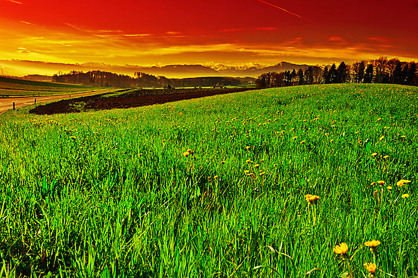 포토 JPG 해외이미지 나무 식물 계절 유럽 도로 여행 잎 밭 농업 자연 하늘 아침 산 풍경 잔디 사람없음 야외 초록색 농작물 태양 농장 농경지 일출 일몰 봄 수확 안개 성장 시골 저녁 그늘 아스팔트 땅 뿌리기 스위스 언덕 알프스 땅바닥 세련 해외202004 해외포토 주간 자연요소 나라 산업 길 컬러 교통시설 모션 날씨 바닥 노을 야간 생태계 파일형식 이미지허브