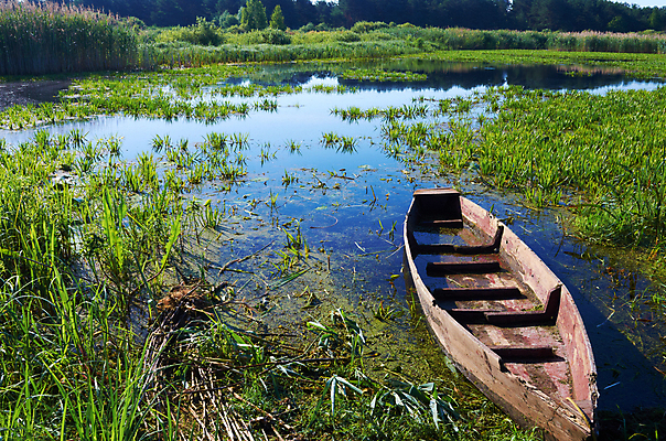 포토 JPG 해외이미지 나무 식물 계절 호수 여행 자연 지팡이 하늘 아침 낚시 휴가 갈대 풍경 사람없음 목재 물 여름 강 일출 봄 수확 만 구멍 보트 홍수 옛날 해외202004 해외포토 주간 자연요소 농업 배_교통 재료 레저 노을 자연재해 생태계 파일형식 이미지허브