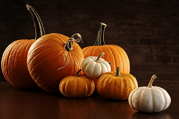 포토 JPG 해외이미지 1 계절 줄기 농업 오렌지 자연 호박 휴가 사람없음 여름 컬러풀 농장 정원 축제 어둠 할로윈 수확 가을 신선 닫기 야간 11월 묘사 싱글 유기농 박 10월 잭오랜턴 카피스페이스 해외202004 해외포토 자연요소 식물 웰빙 산업 컬러 채소 과일 모션 공백 날짜 생태계 파일형식 이미지허브