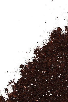 포토 JPG 해외이미지 식물 지구 백그라운드 농업 자연 성공 새로움 씨앗 사람없음 야외 농작물 환경 정원 검은색 흙 성장 신선 작음 시작 유기농 원예 먼지 돌봄 땅바닥 모종 생태학 치유 파종 해외202004 해외포토 웰빙 교육 산업 컬러 컨셉 모션 바닥 취미 농사 크기 생태계 파일형식 이미지허브