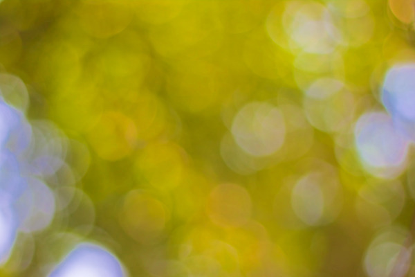 포토 JPG 해외이미지 디자인 행복 별 분홍색 일러스트 사람없음 장식 빨간색 빛 반짝임 노란색 검은색 화려 우아함 소프트포커스 보케 빛망울 해외202004 해외포토 자연요소 감정 컬러 컨셉 모션 촬영기법 파일형식 이미지허브