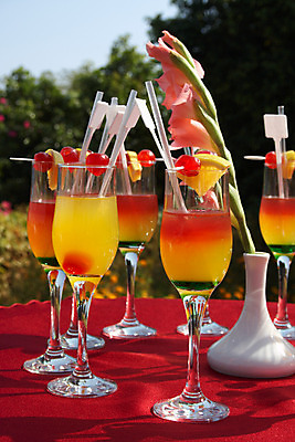 포토 JPG 해외이미지 꽃 음료 와인잔 유리 탁자 휴가 사람없음 야외 빨간색 컬러풀 소풍 파티 봄 칵테일 해외202004 해외포토 식물 계절 컬러 가구 술잔 재질 주류 이벤트 야외활동 파일형식 이미지허브