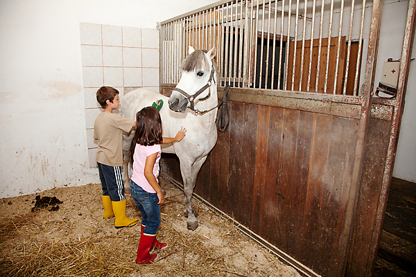 포토 JPG 해외이미지 동물 여자 스포츠 농업 가족 수업 생물 사람 두명 건물 농장 가축 흰색 승마 작음 청소 조랑말 몸단장 돌봄 해외202004 해외포토 건축물 교육 산업 컬러 관계 모션 말_동물 크기 파일형식 이미지허브