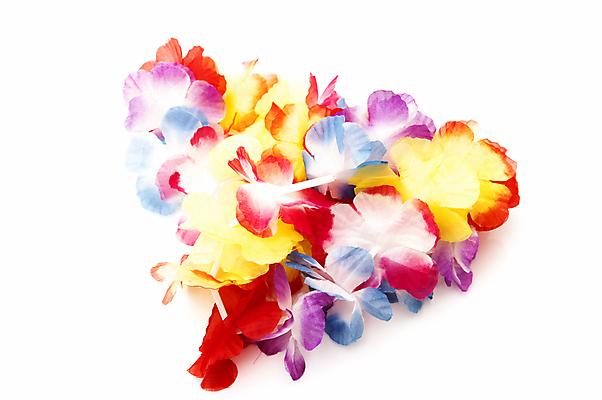 포토 JPG 해외이미지 식물 디자인 꽃잎 꽃 분홍색 사람없음 장식 빨간색 노란색 보라색 봄 고립 인공 스타일 해외202004 해외포토 계절 컬러 파일형식 이미지허브