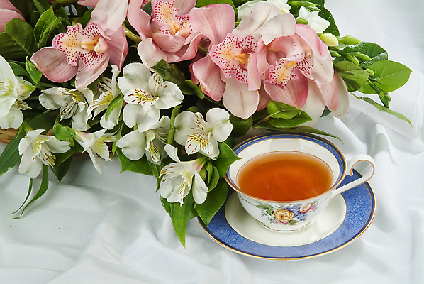 포토 JPG 해외이미지 디자인 꽃잎 꽃 줄기 분홍색 꽃다발 결혼 백그라운드 컨셉 잎 꽃무늬 자연 결혼식 엄마 휴가 발렌타인데이 사랑 사람없음 장식 빨간색 장미 우주 보라색 튤립 벚꽃 흰색 신용카드 생일 성자 선택 실크 다발 배열 제비꽃 질감 아로마 열정 제비 고립 엘리먼트 많음 해외202004 해외포토 식물 기념일 감정 종교 컬러 무늬 가족 데이이벤트 조류 이벤트 금융 직물 생태계 파일형식 이미지허브