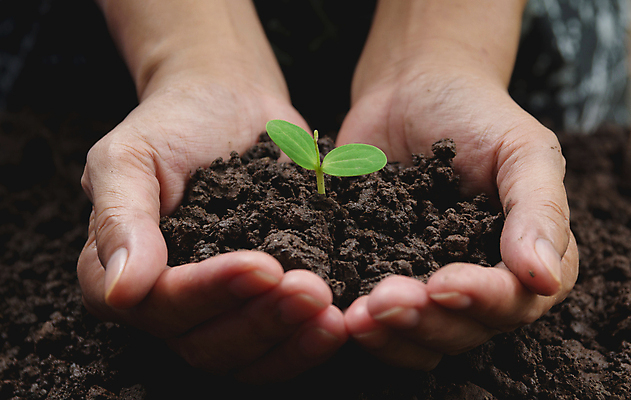 포토 JPG 해외이미지 주간 손 들기 야외 신체부위 새싹 흙 해외202004 해외포토 자연요소 식물 모션 사람 파일형식 이미지허브