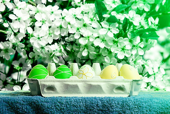 포토 JPG 해외이미지 전통 디자인 계절 꽃 행복 종교 분홍색 백그라운드 패턴 자연 하늘 휴가 부활절 선물 이벤트 사람없음 장식 가로 빨간색 초록색 파란색 컬러풀 노란색 우주 주방 계란 축제 치킨 페인트 봄 흰색 축하 신선 그리기 심볼 오브젝트 질감 냅킨 사냥 고립 줄서기 카피스페이스 해외202004 해외포토 식물 기념일 감정 컬러 컨셉 무늬 모션 알 공백 생태계 닭고기요리 파일형식 이미지허브