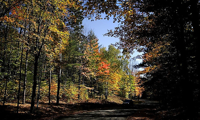 포토 JPG 해외이미지 나무 공원 도로 여행 자동차 자연 하늘 풍경 사람없음 파란색 컬러풀 가을 숲 승합차 방법 자동 해외202004 해외포토 식물 계절 공공시설 길 육상교통 컬러 교통시설 승용차 생태계 파일형식 이미지허브