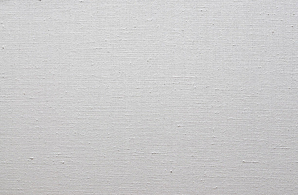 포토 JPG 해외이미지 디자인 벽 백그라운드 패턴 벽지 표면 미술 사람없음 장식 우주 쪽지 공백 수확 덮개 흰색 시골 직물 면 거친 실 떨어짐 삼베 그림 유기농 질감 캔버스 화가 섬유 짜임 내추럴 무료 스크랩북 엘리먼트 스타일 해외202004 해외포토 직업 웰빙 컬러 컨셉 무늬 농업 문화예술 뚜껑 파일형식 천_직물 이미지허브