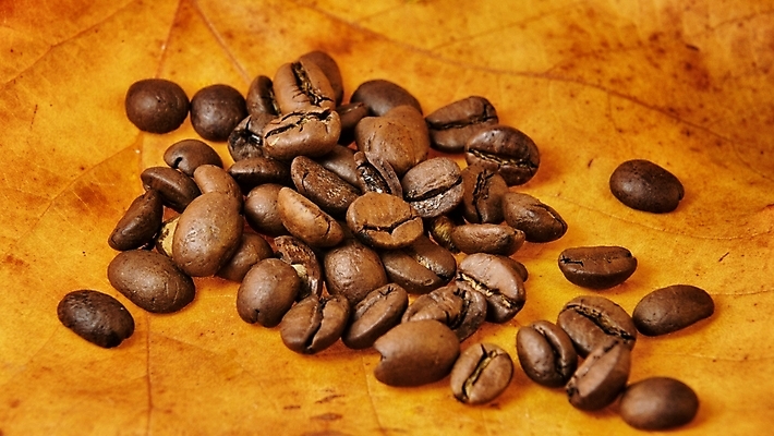 포토 JPG 해외이미지 커피 단풍 잎 오렌지 콩 사람없음 갈색 원두 가을 신선 굽기 토스트 카푸치노 에스프레소 흙더미 모카 해외202004 해외포토 식물 계절 음료 빵 컬러 과일 곡류 흙 구이 파일형식 더미 이미지허브