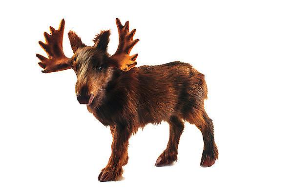 포토 JPG 해외이미지 동물 남자 행복 얼굴 야생동물 조각 캐나다 장난 포유류 포옹 휴가 털 뿔 선물 사람없음 장난감 갈색 머리 달러 흰색 숲 작음 모피 휴양지 황소 사냥 부드러움 솜털 알래스카 폭식 결백 고립 신발장 해외202004 해외포토 감정 컬러 돈 북아메리카 안기 사람 신체부위 미국 장소 감각 소 크기 파일형식 이미지허브