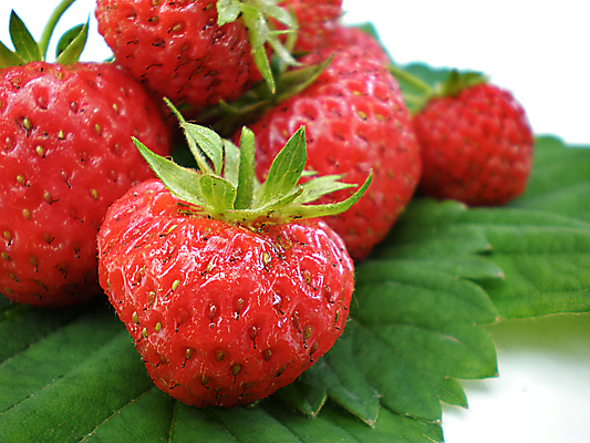 포토 JPG 해외이미지 계절 열매 음료 음식 줄기 백그라운드 다이어트 과일 재료 자연 딸기 디저트 건강 사람없음 빨간색 초록색 물 여름 빛 알약 주스 봄 흰색 신선 원형 사발 달콤 유혹 다발 보따리 상쾌 열정 진홍색 내추럴 고립 숙성 해외202004 해외포토 자연요소 도형 식물 감정 컬러 컨셉 약 사기그릇 맛 생태계 파일형식 이미지허브