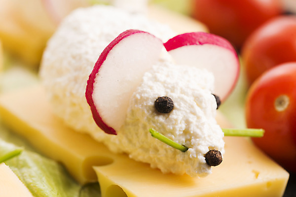 포토 JPG 해외이미지 모양 동물 접시 어린이 음식 빵 백그라운드 탁자 해바라기 치즈 파슬리 샌드위치 요리 씨앗 사람없음 장식 초록색 갈색 식사 저녁식사 흰색 신선 소시지 닫기 맛 아침식사 쥐 설치류 밀 먹기 점심식사 해외202004 해외포토 식물 식기 꽃 컬러 가구 컨셉 채소 모션 유제품 곡류 사람 가공식품 파일형식 이미지허브