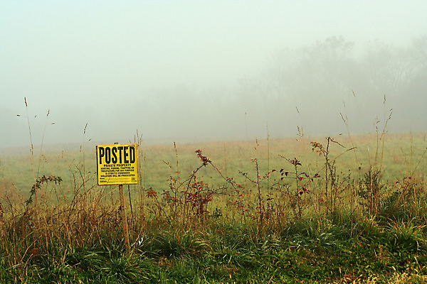포토 JPG 해외이미지 밭 텍스트 자연 사람없음 야외 안개 잡초 사인 뿌연 해외202004 해외포토 식물 농업 날씨 생태계 파일형식 이미지허브