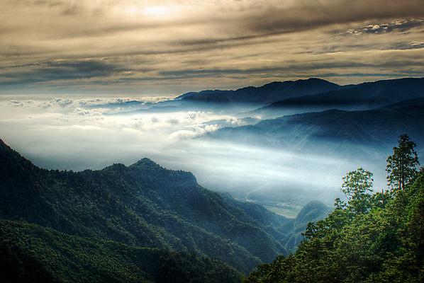 포토 JPG 해외이미지 나무 식물 계절 공원 여행 밭 자연 하늘 아침 풍경 사람없음 야외 초록색 빛 컬러풀 햇빛 태양 평화 일출 계곡 맑음 침묵 일몰 봄 새벽 꿈 젖음 성장 나뭇가지 시골 신선 숲 속도 장면 내추럴 향나무 수평선 해외202004 해외포토 주간 자연요소 공공시설 컬러 컨셉 농업 날씨 노을 소리 생태계 파일형식 이미지허브
