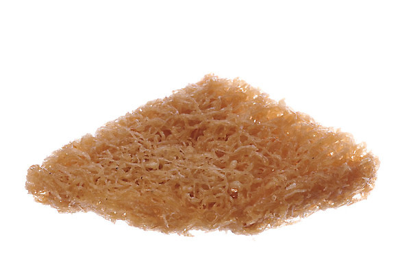 포토 JPG 해외이미지 전통 음식 디저트 사람없음 쌓기 과자 빵집 황금 닫기 맛 아침식사 굽기 먹기 고립 페스츄리 해외202004 해외포토 빵 컨셉 모션 상점 식사 구이 파일형식 이미지허브