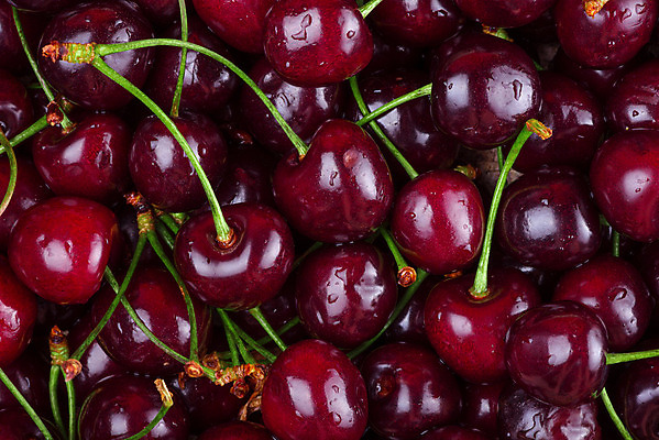 포토 JPG 해외이미지 식물 계절 열매 음식 백그라운드 농업 과일 재료 자연 디저트 건강 사람없음 빨간색 여름 농장 정원 맑음 봄 활발 수확 성장 신선 체리 닫기 달콤 맛 과수원 다발 먹기 유기농 날것 숙성 채식주의자 비건 해외202004 해외포토 웰빙 산업 컬러 컨셉 모션 날씨 생태계 채식 파일형식 이미지허브